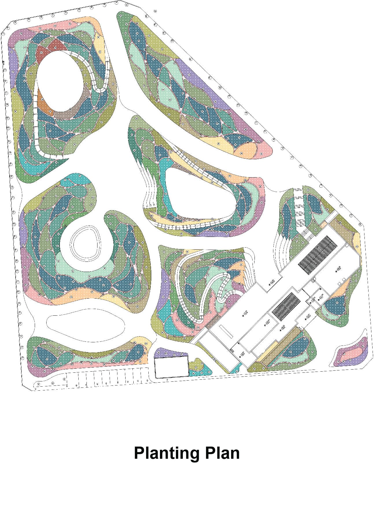 پلان کاشت بسکی 04